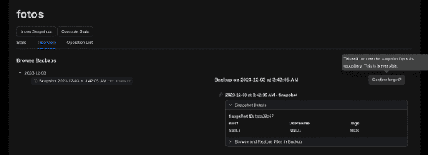 Lista de hooks configurados en Backrest