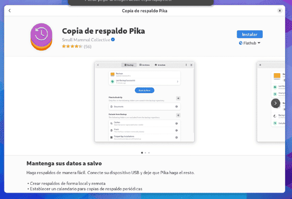 Pika Backup en Gnome Software