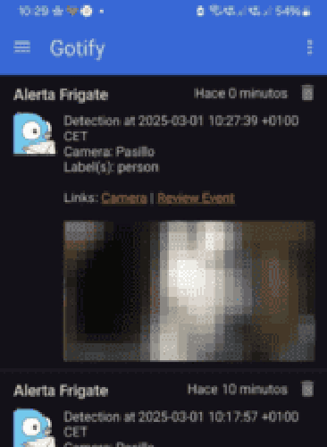 Notificación de Frigate en Android