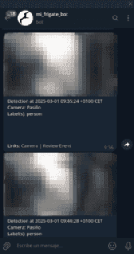 Notificación de Frigate por Telegram