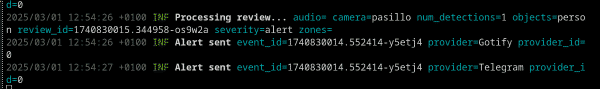 Notificación de Frigate por Gotify